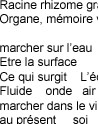 Marcher sur l'eau, Texte